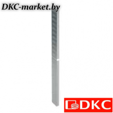 R5SBCS2260 Разделитель вертикальный бок. отсека шин В=2200 Г=600