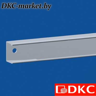 R5TOE80 Притвор для секционной двери, для шкафов DAE/CQE Ш=800мм